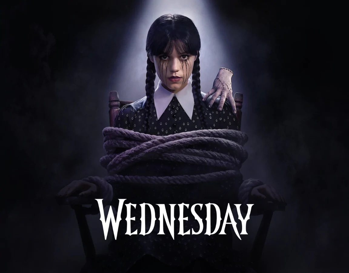 Wednesday izdelki banner