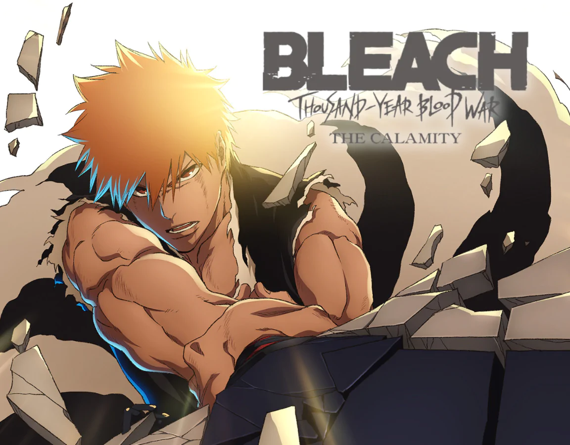 Bleach izdelki banner