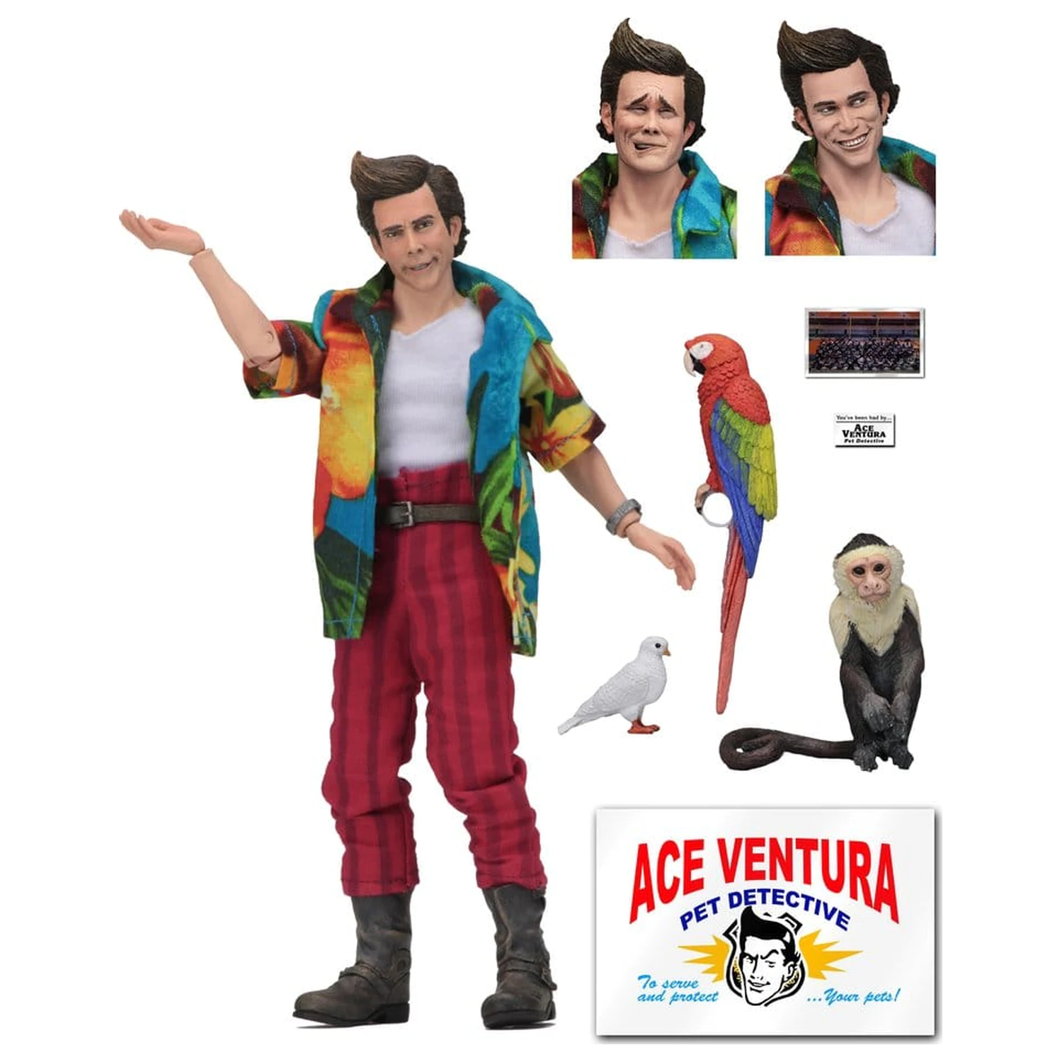 Ace Ventura figura z obleko Ace Ventura 20 cm fotografija izdelka