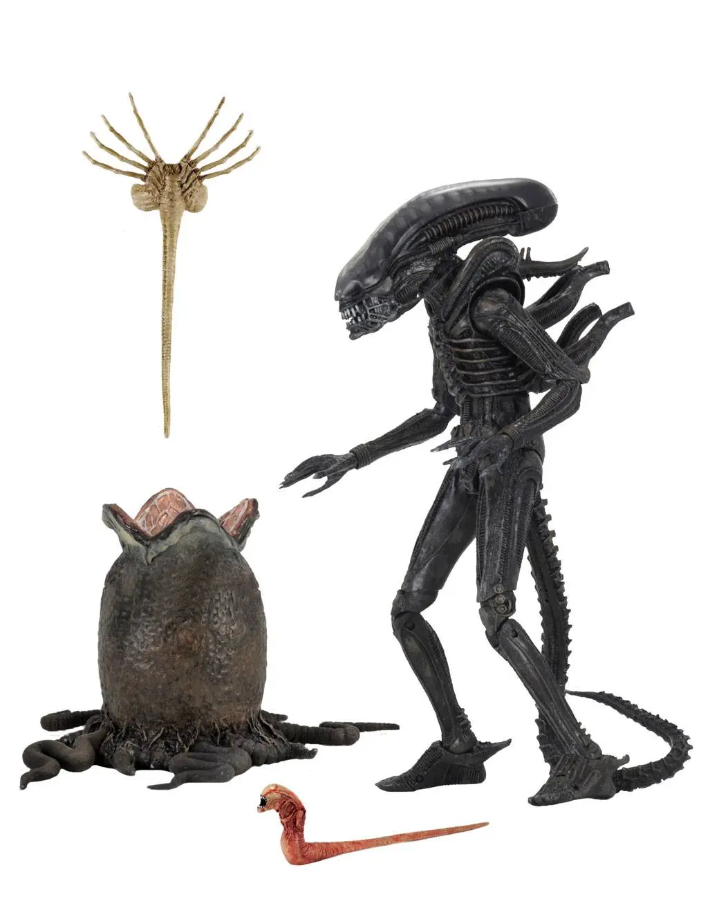 Alien 1979 Akcijska figura Ultimate 40th Anniversary Big Chap 23 cm fotografija izdelka