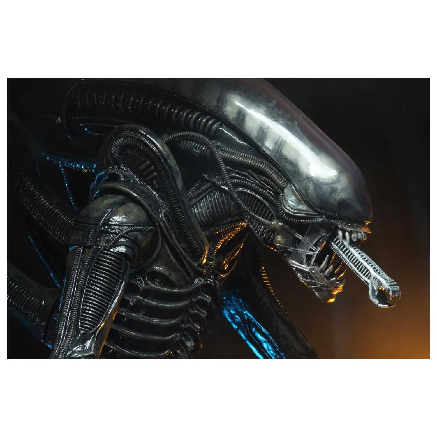 Alien Big Chap figura 1/4 55 cm fotografija izdelka
