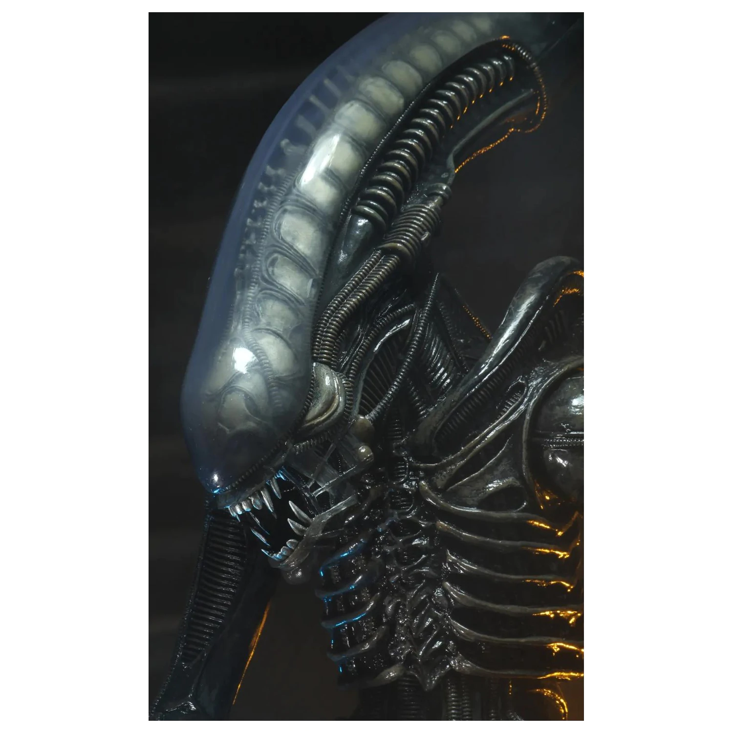 Alien Big Chap figura 1/4 55 cm fotografija izdelka