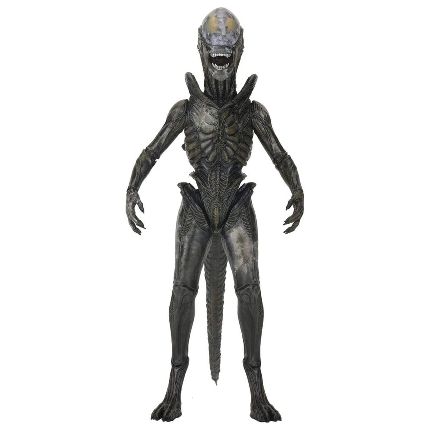 Alien: Earth Ultimate akcijska figura Wendy's Xenomorph 18 cm fotografija izdelka