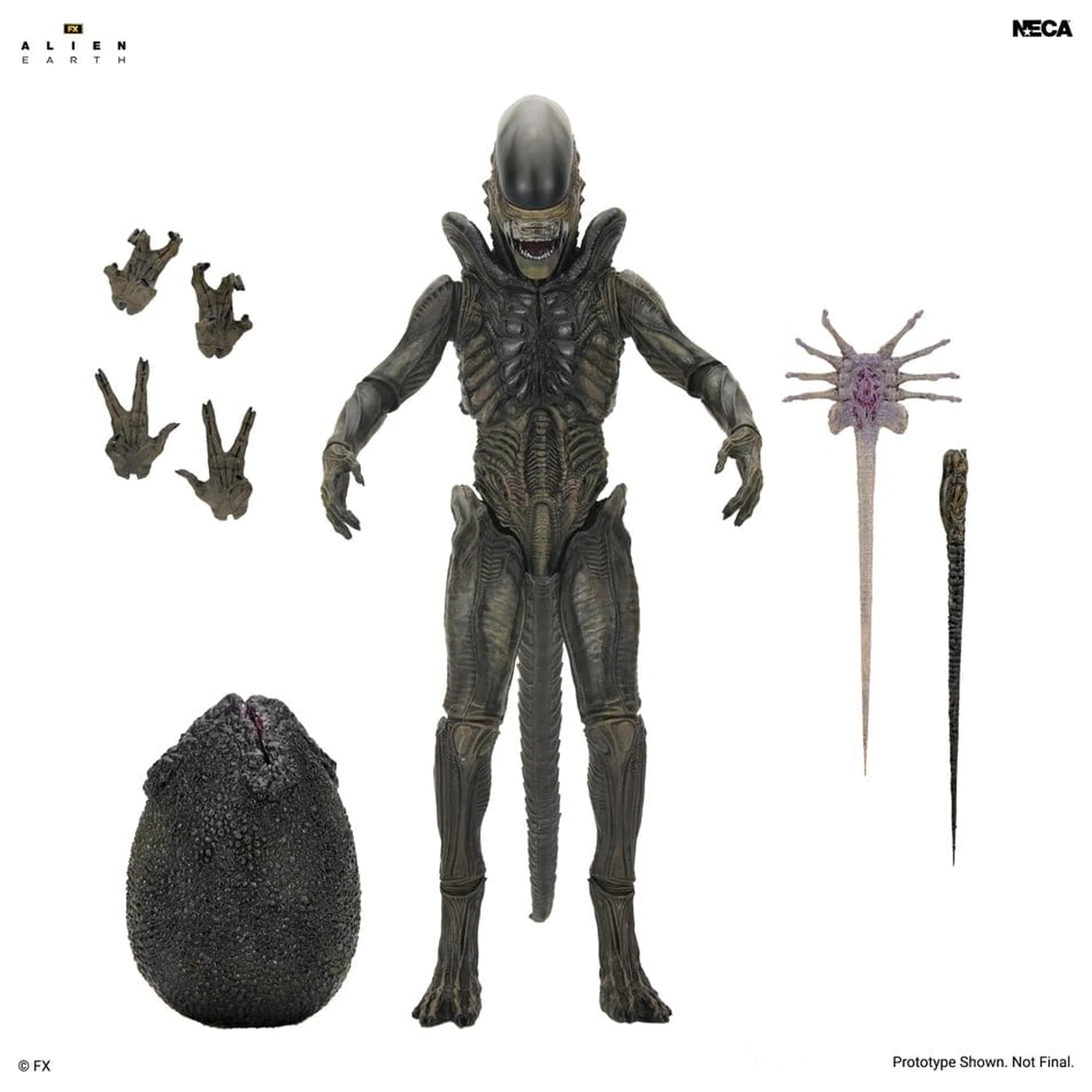 Alien: Earth Ultimate Action figura Xenomorph 18 cm fotografija izdelka