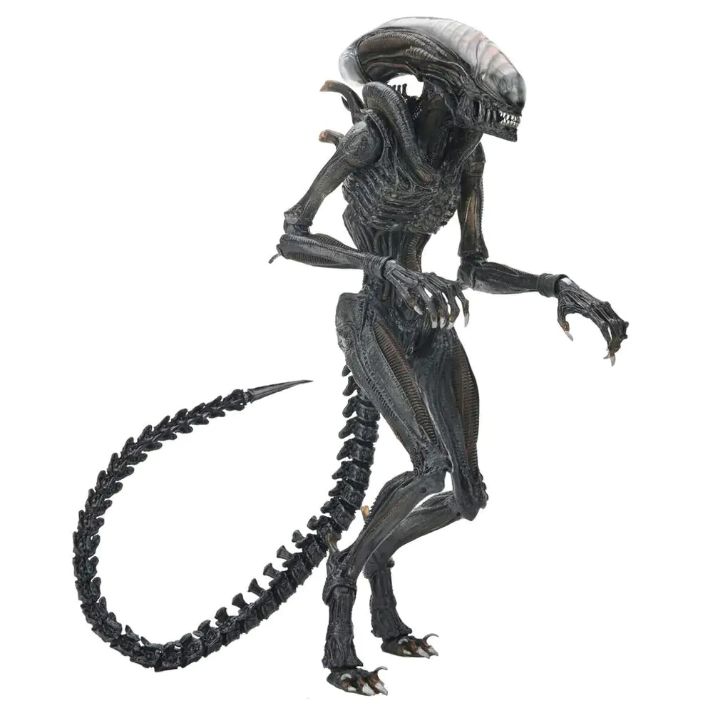 Alien Romulus Scorched Xnomorph Ultimate figura 23 cm fotografija izdelka