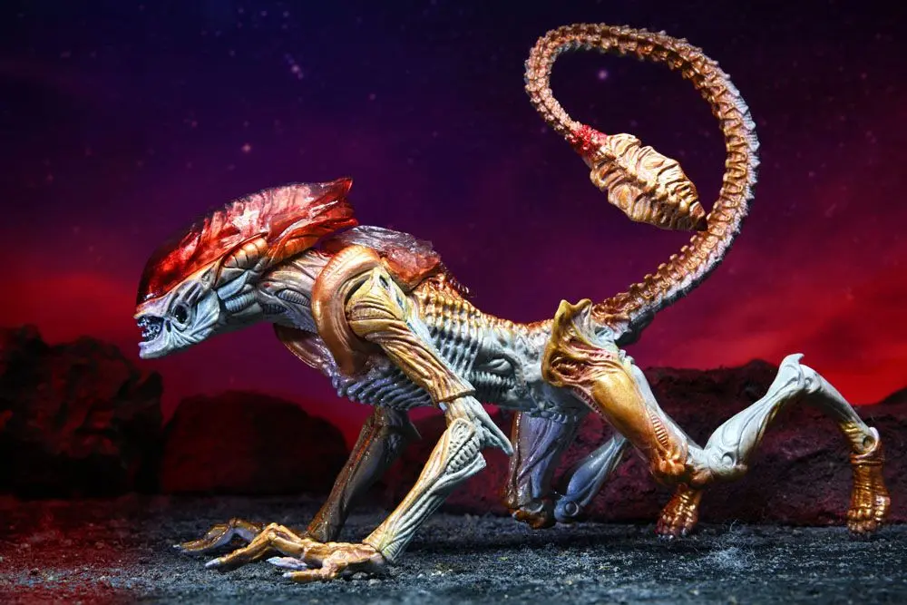 Aliens Akcijska figura Panther Alien (Kenner Tribute) 23 cm fotografija izdelka