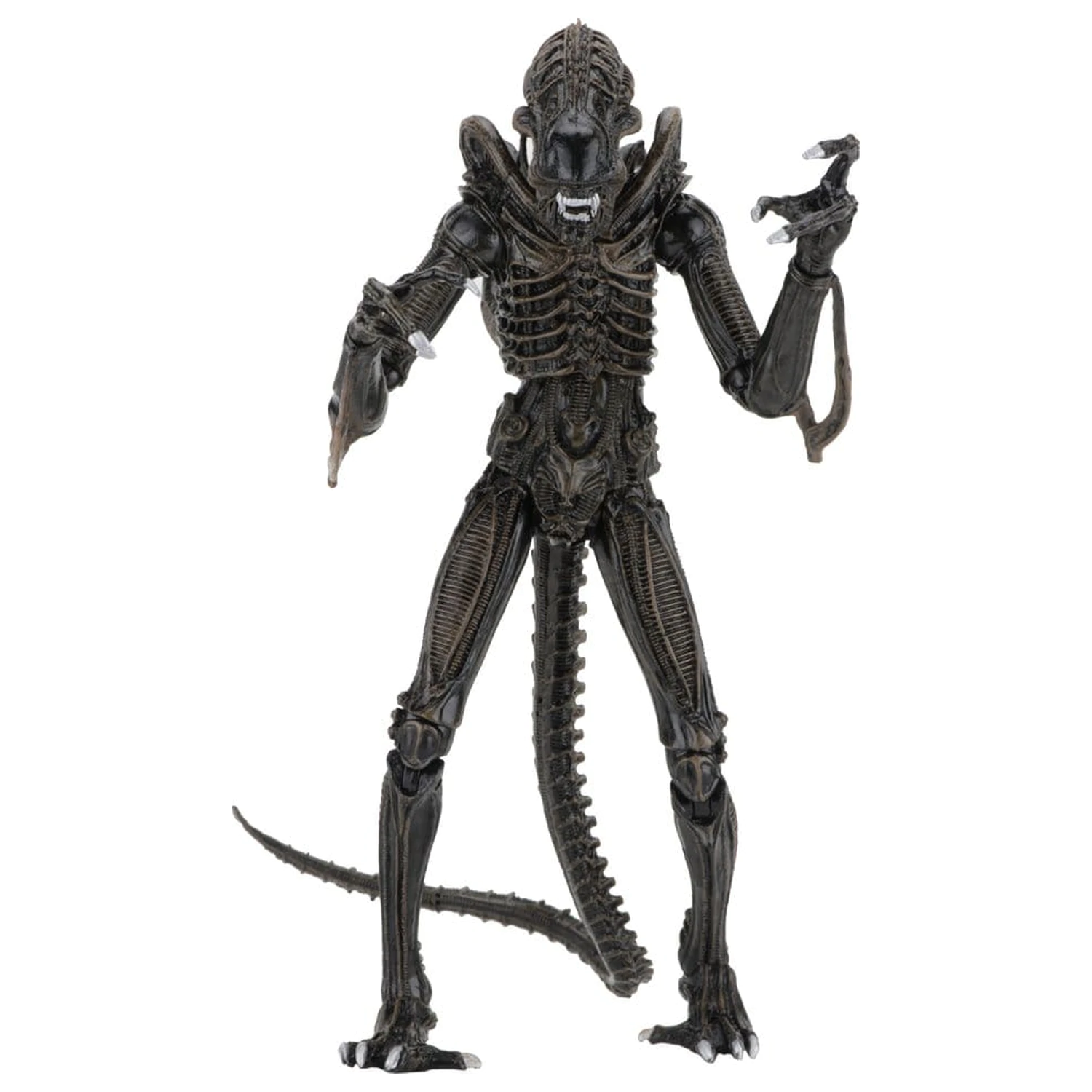 Aliens Ultimate Action Figure Bojevnik (1986) Rjava 23 cm fotografija izdelka