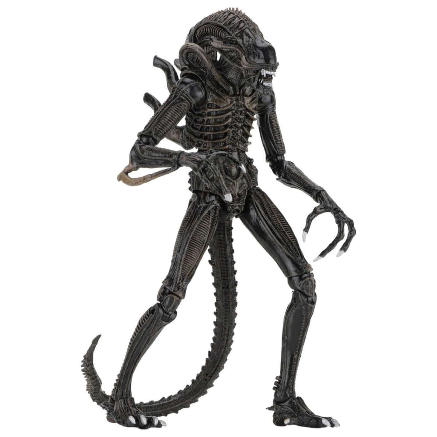 Aliens Ultimate Action Figure Bojevnik (1986) Rjava 23 cm fotografija izdelka