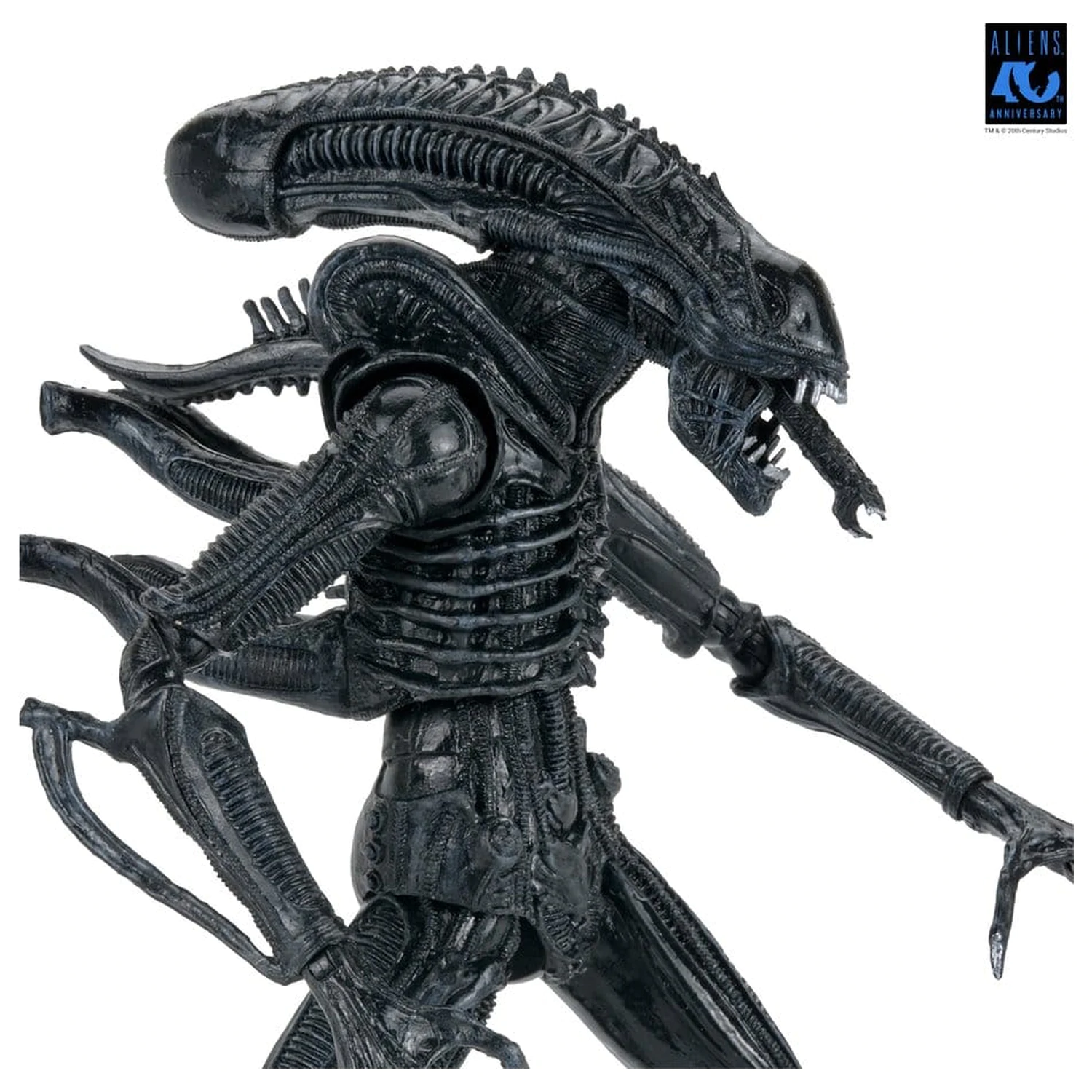 Aliens Ultimate Action Figure Warrior (1986) Xenomorph Black (40th Anniversary) 23 centimetrov fotografija izdelka