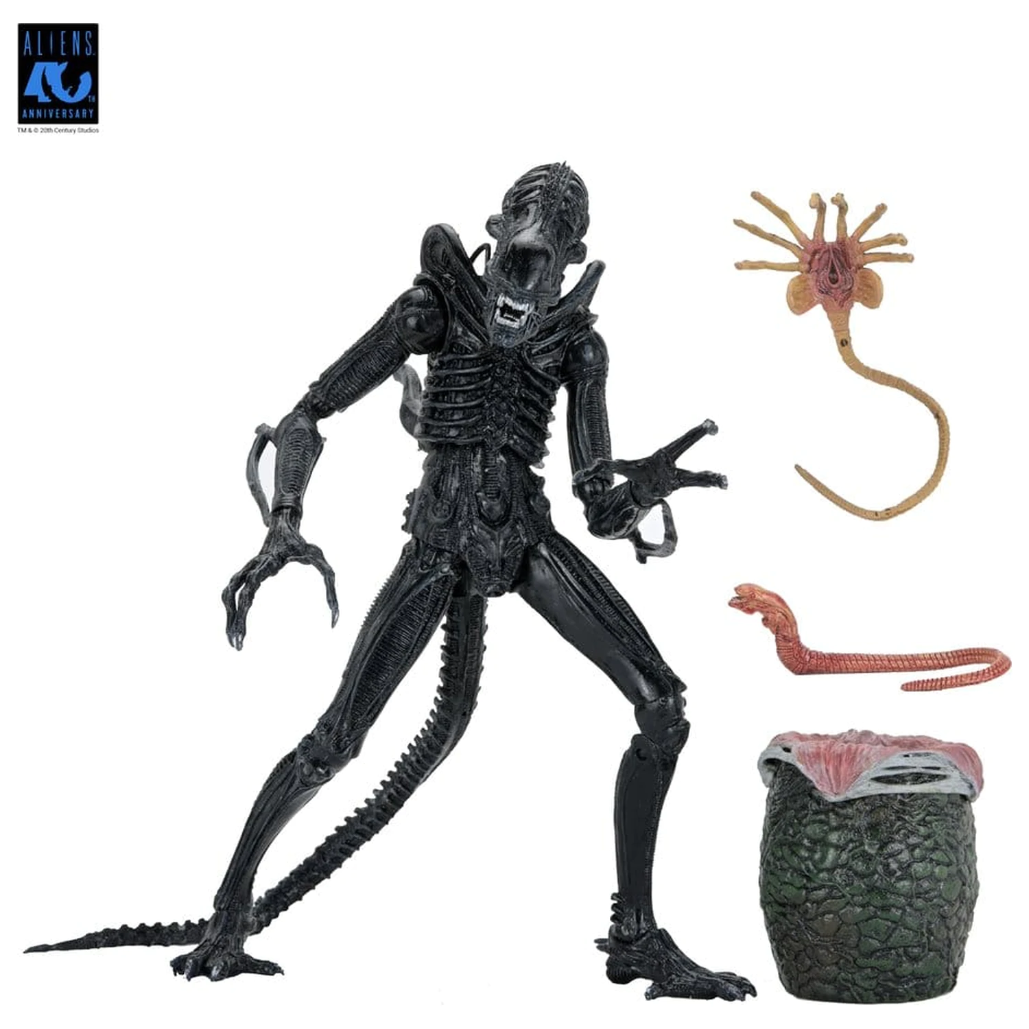 Aliens Ultimate Action Figure Warrior (1986) Xenomorph Black (40th Anniversary) 23 centimetrov fotografija izdelka