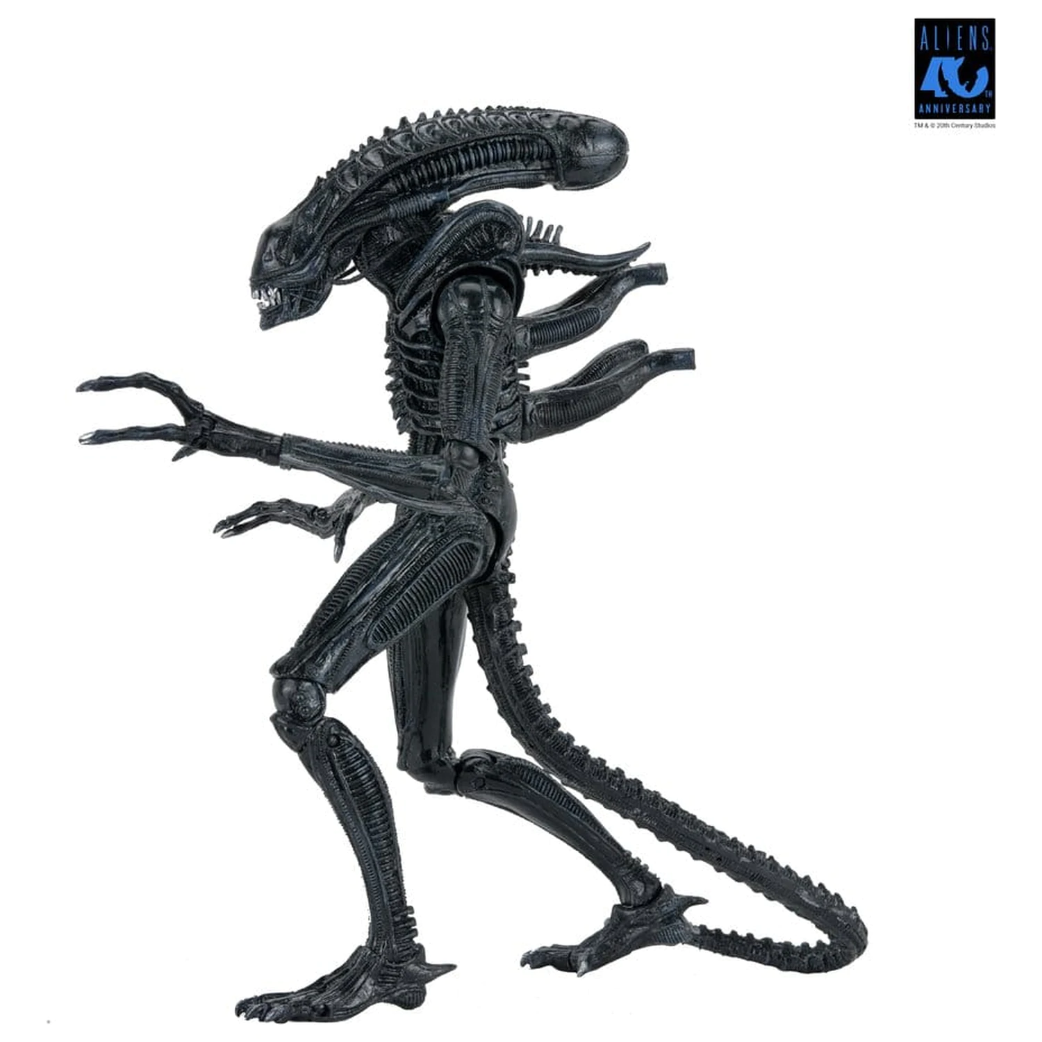 Aliens Ultimate Action Figure Warrior (1986) Xenomorph Black (40th Anniversary) 23 centimetrov fotografija izdelka