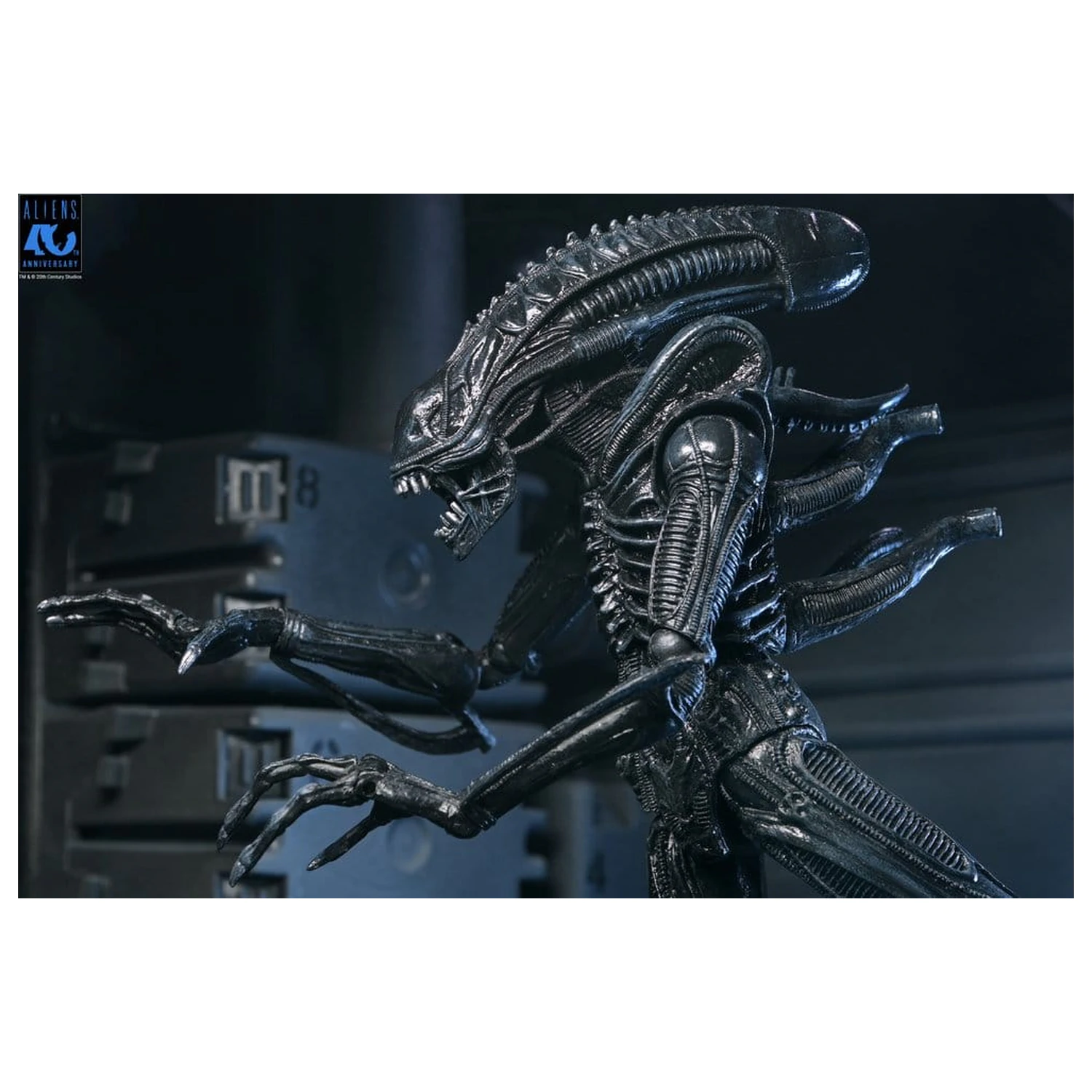 Aliens Ultimate Action Figure Warrior (1986) Xenomorph Black (40th Anniversary) 23 centimetrov fotografija izdelka