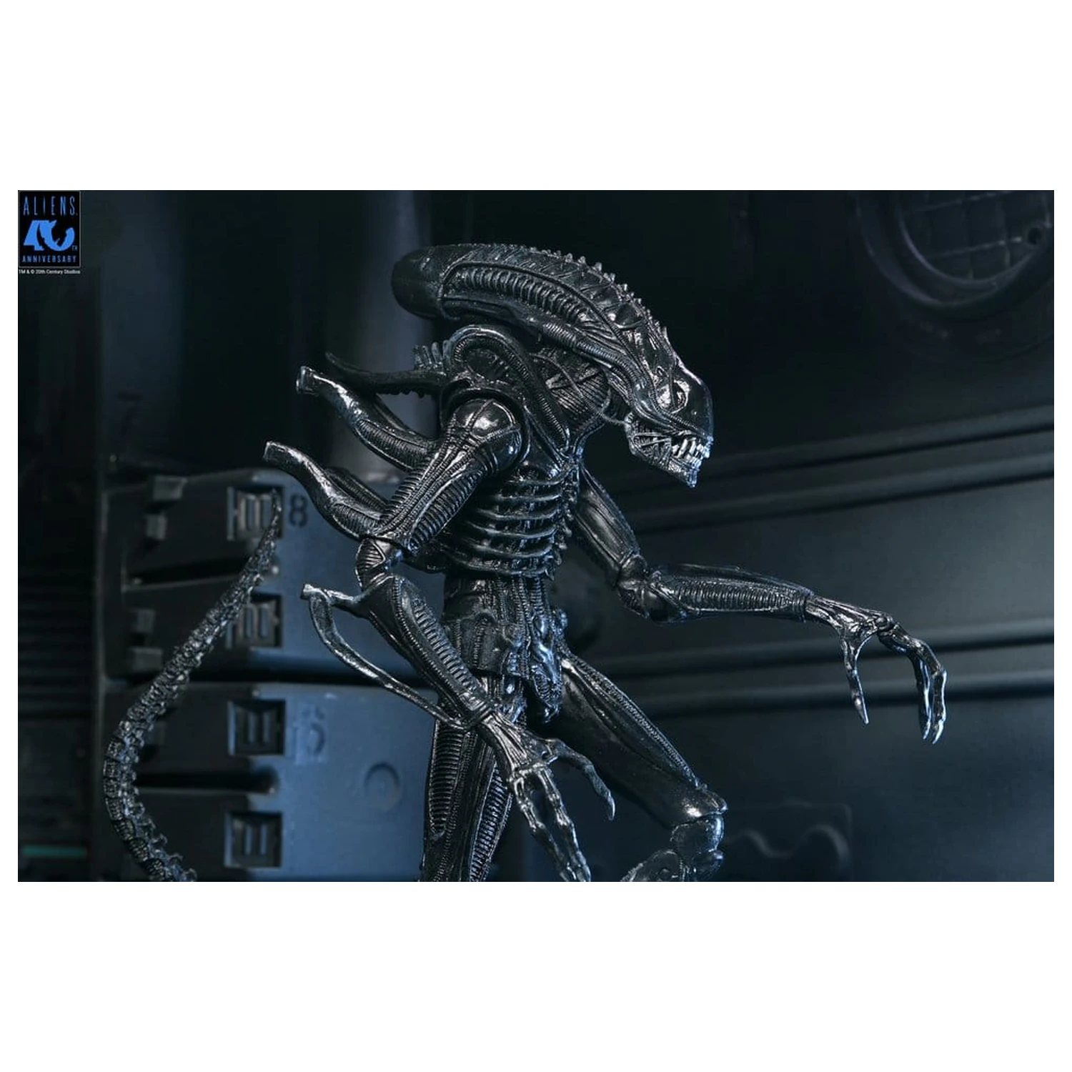 Aliens Ultimate Action Figure Warrior (1986) Xenomorph Black (40th Anniversary) 23 centimetrov fotografija izdelka