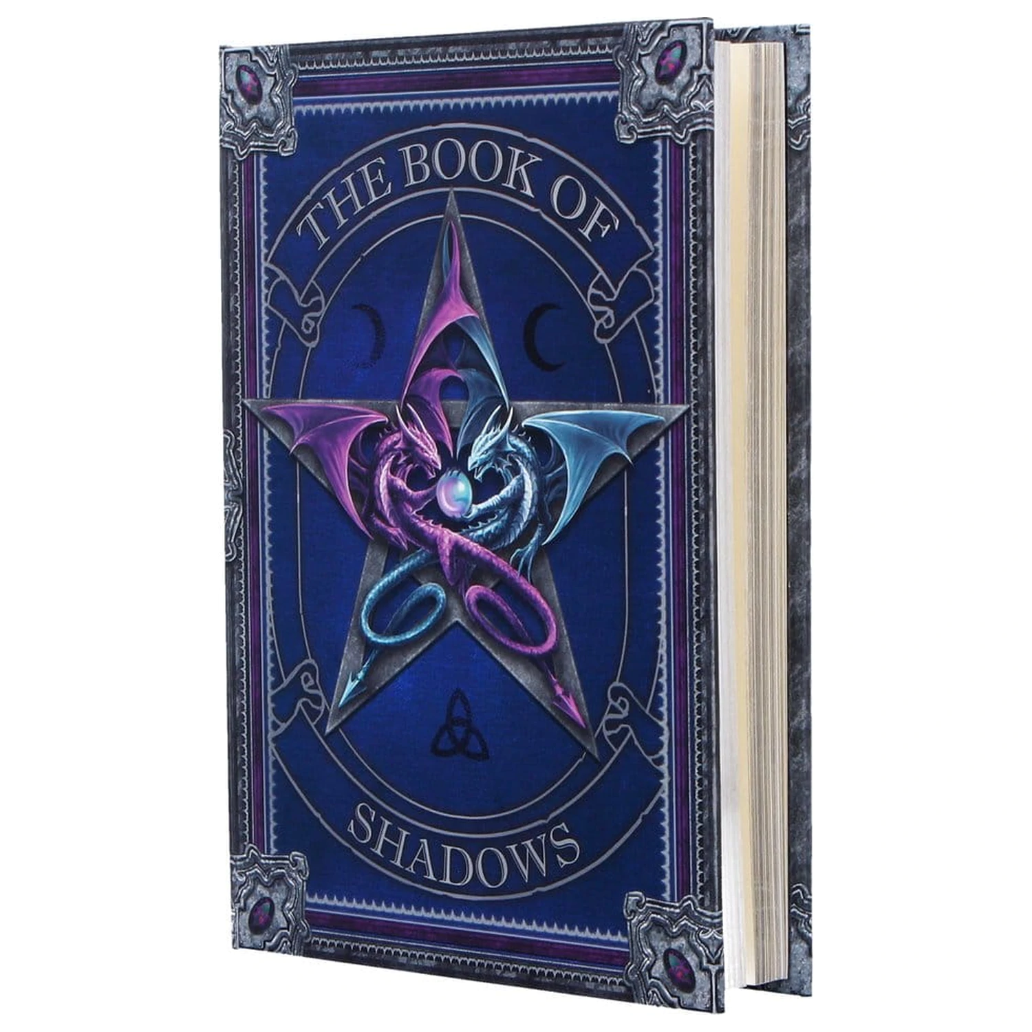 Anne Stokes Beležnica The Book of Shadows A5 fotografija izdelka