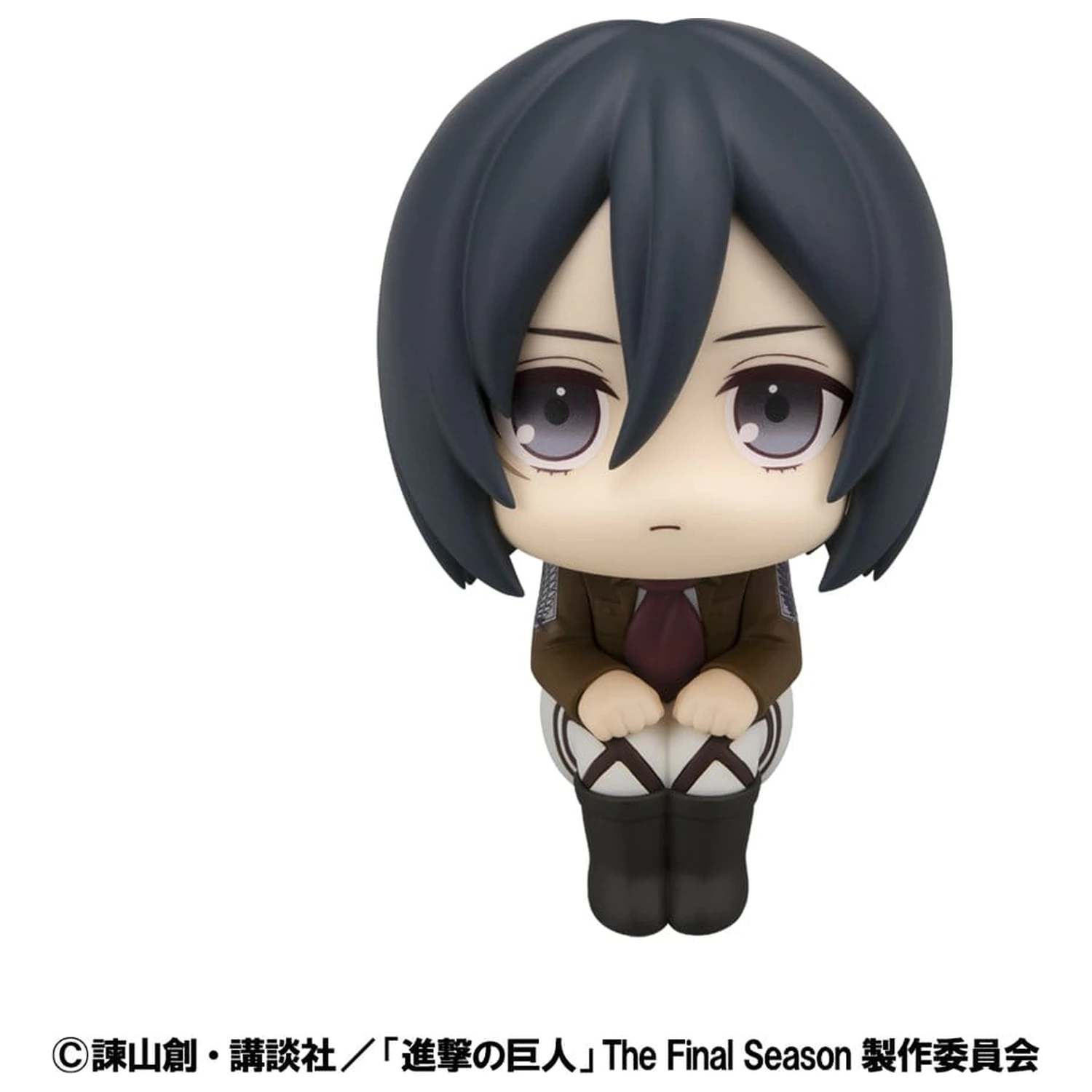 Attack on Titan Look Up PVC Kipi Levi Cleaning up Ver. & Mikasa Ackerman (z darilom) 11 cm fotografija izdelka