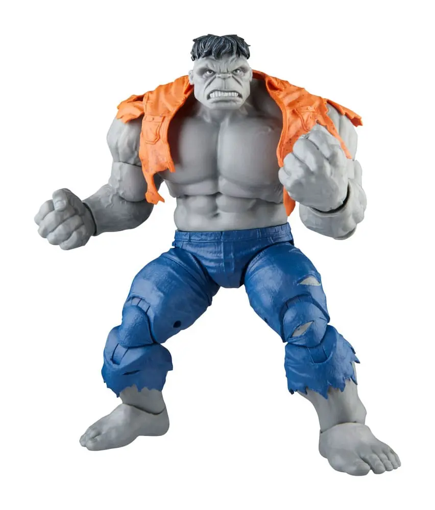 Avengers Marvel Legends akcijske figure Gray Hulk & Dr. Bruce Banner 15 cm fotografija izdelka