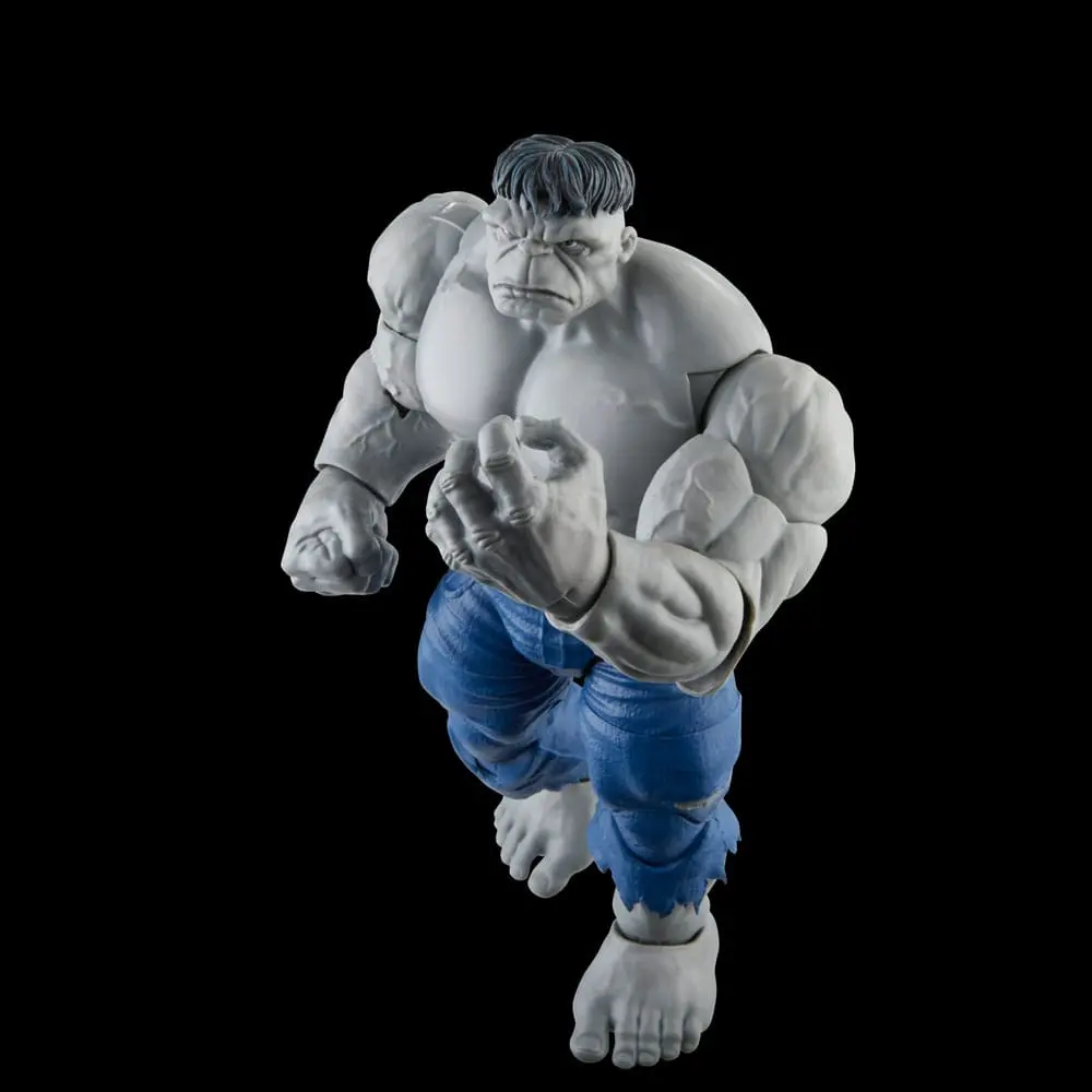 Avengers Marvel Legends akcijske figure Gray Hulk & Dr. Bruce Banner 15 cm fotografija izdelka