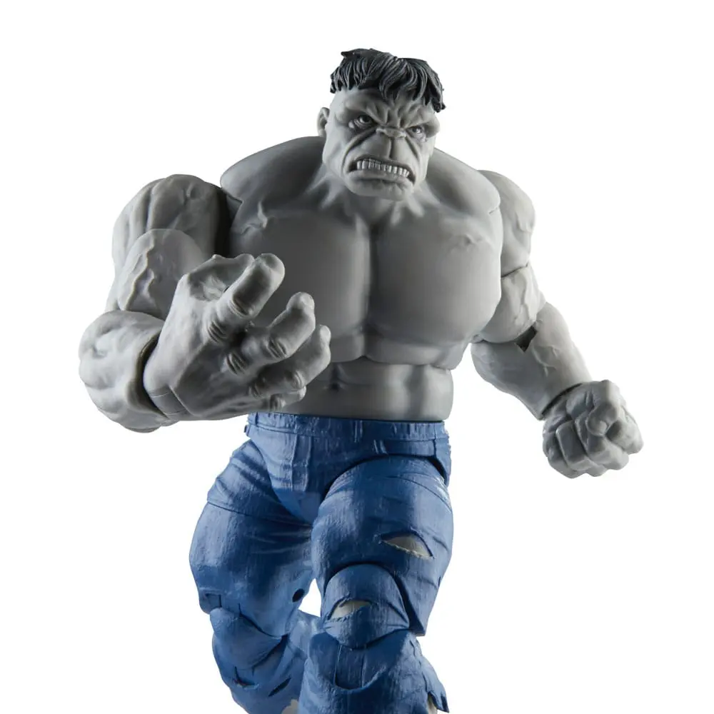 Avengers Marvel Legends akcijske figure Gray Hulk & Dr. Bruce Banner 15 cm fotografija izdelka