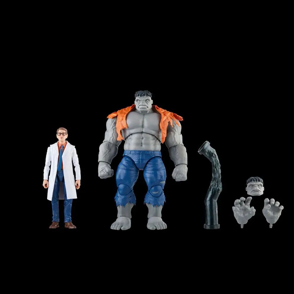 Avengers Marvel Legends akcijske figure Gray Hulk & Dr. Bruce Banner 15 cm fotografija izdelka