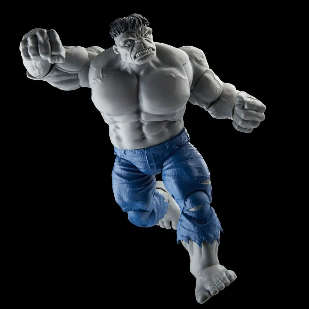 Avengers Marvel Legends akcijske figure Gray Hulk & Dr. Bruce Banner 15 cm fotografija izdelka