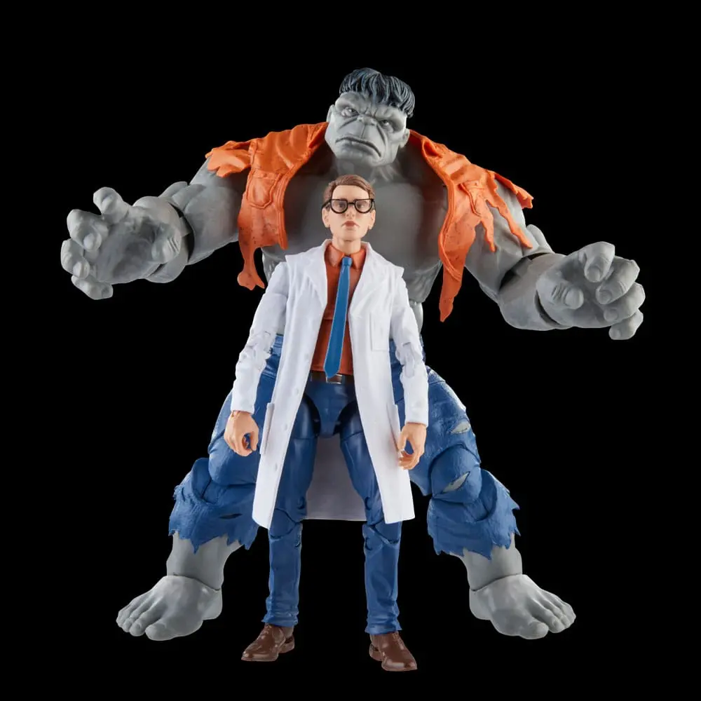 Avengers Marvel Legends akcijske figure Gray Hulk & Dr. Bruce Banner 15 cm fotografija izdelka