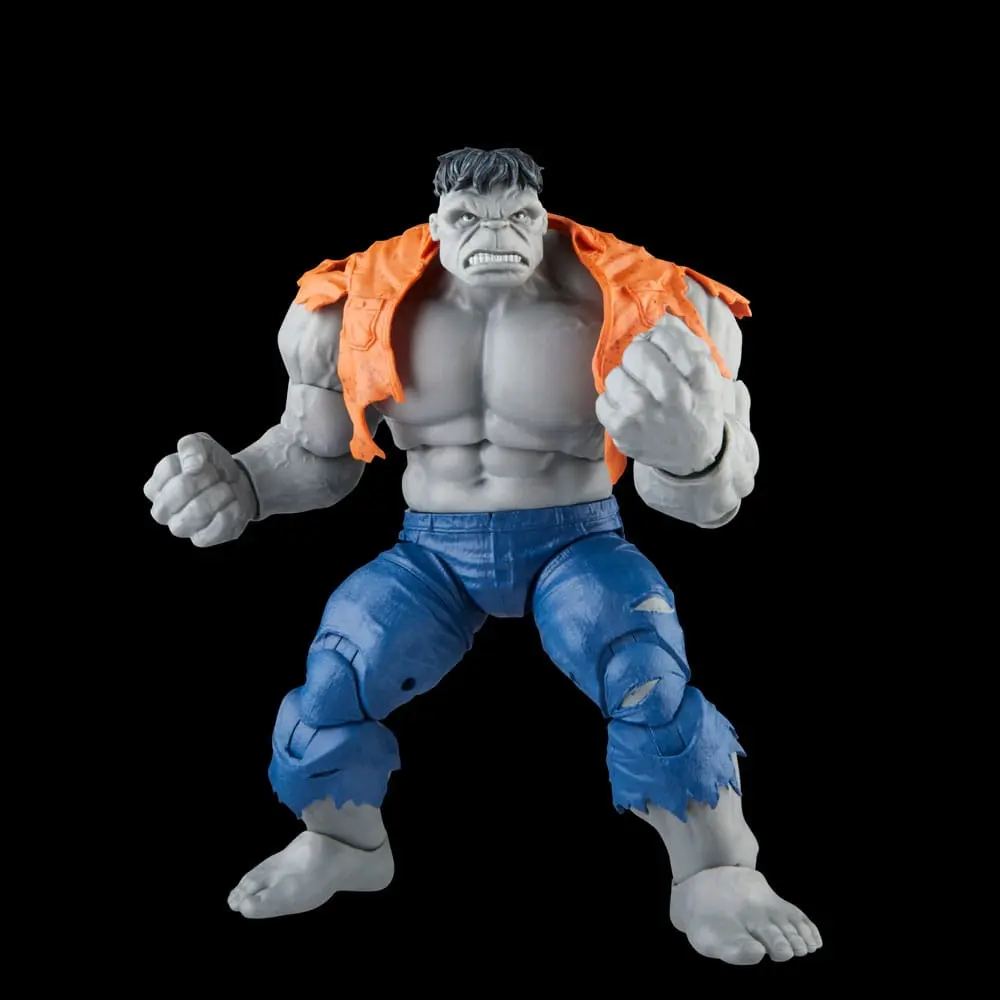 Avengers Marvel Legends akcijske figure Gray Hulk & Dr. Bruce Banner 15 cm fotografija izdelka