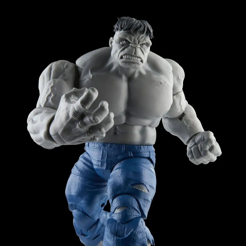 Avengers Marvel Legends akcijske figure Gray Hulk & Dr. Bruce Banner 15 cm fotografija izdelka