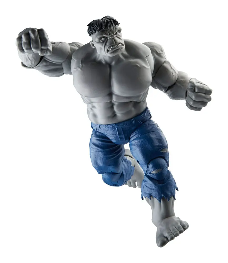 Avengers Marvel Legends akcijske figure Gray Hulk & Dr. Bruce Banner 15 cm fotografija izdelka