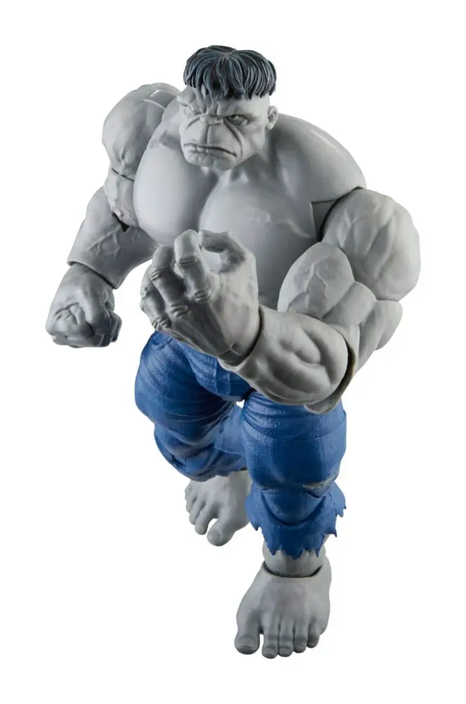 Avengers Marvel Legends akcijske figure Gray Hulk & Dr. Bruce Banner 15 cm fotografija izdelka