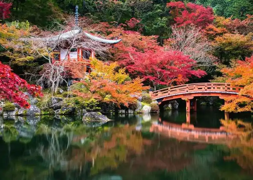 Čudoviti vrtovi sestavljanka Daigo-ji, Kyoto, Japan (1000 kosov) fotografija izdelka