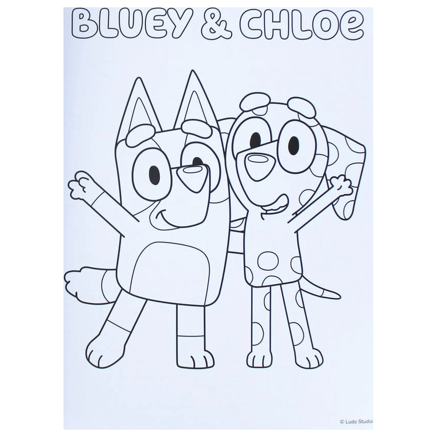 Bluey barvanka A4 & komplet nalepk fotografija izdelka