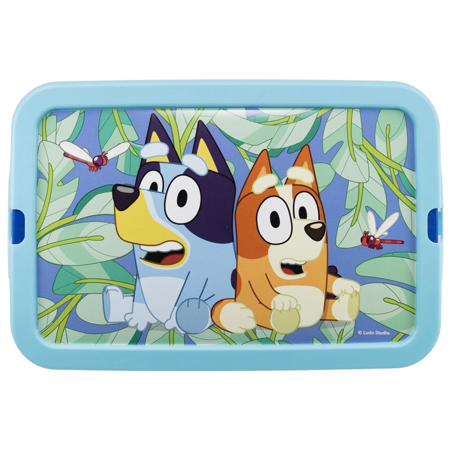 Bluey Leaves plastična škatla za shranjevanje 7 L fotografija izdelka