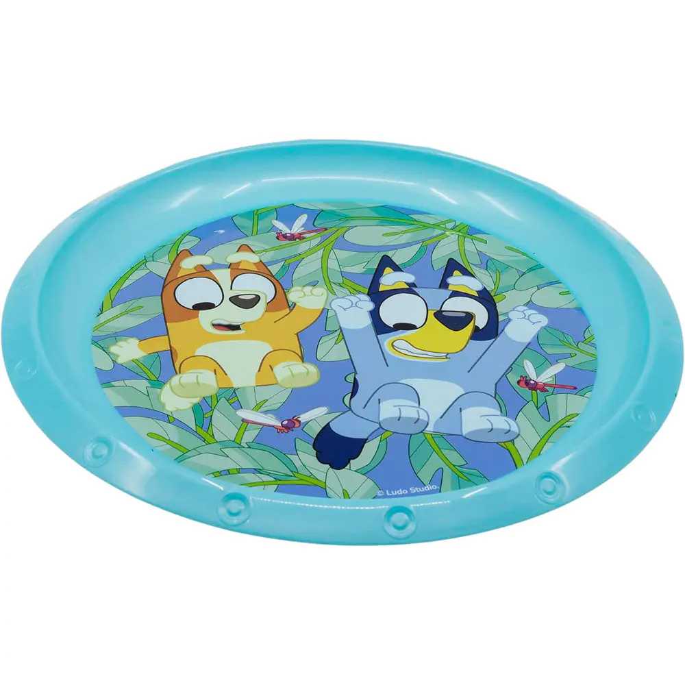 Bluey krožnik fotografija izdelka