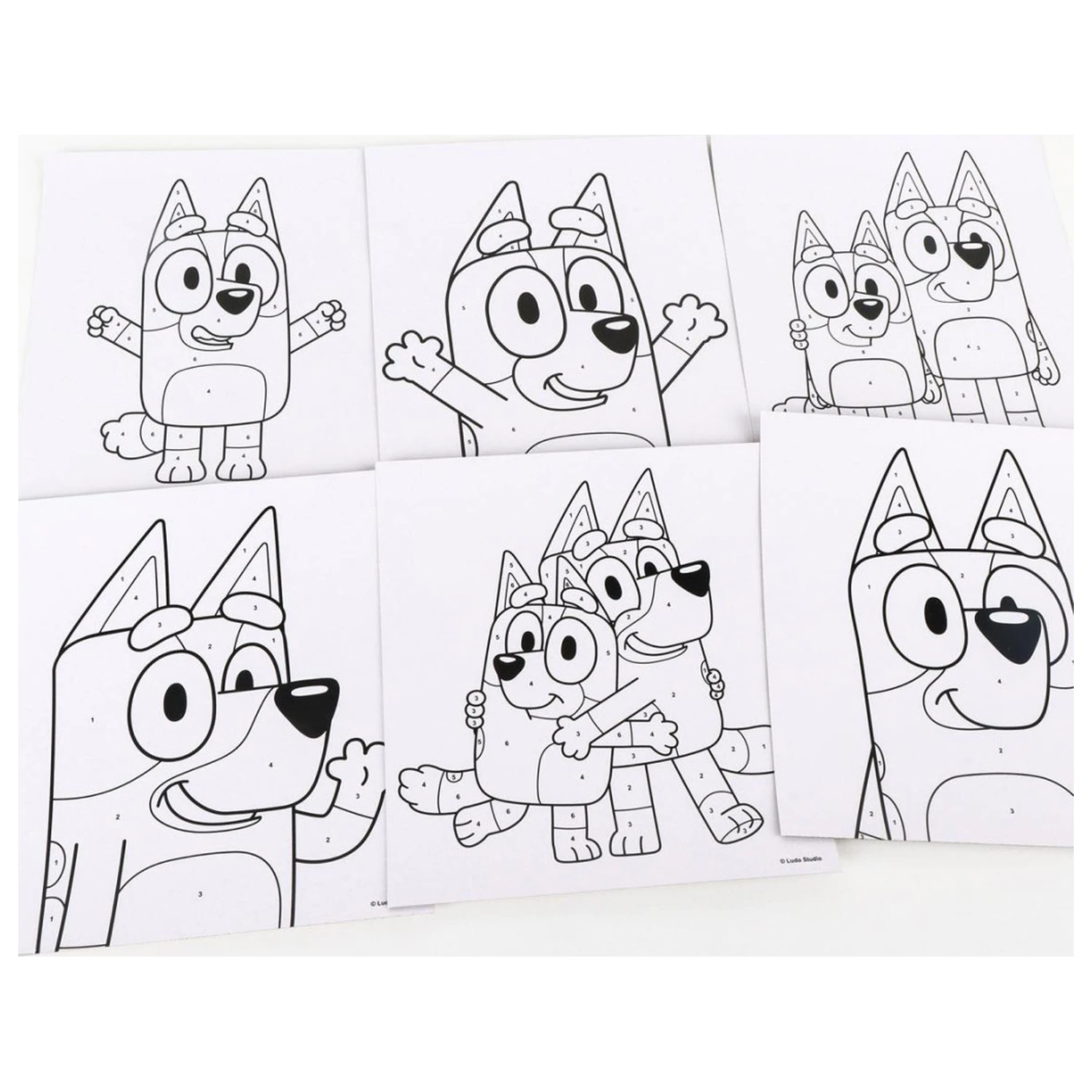 Bluey To Wave Komplet za barvanje fotografija izdelka