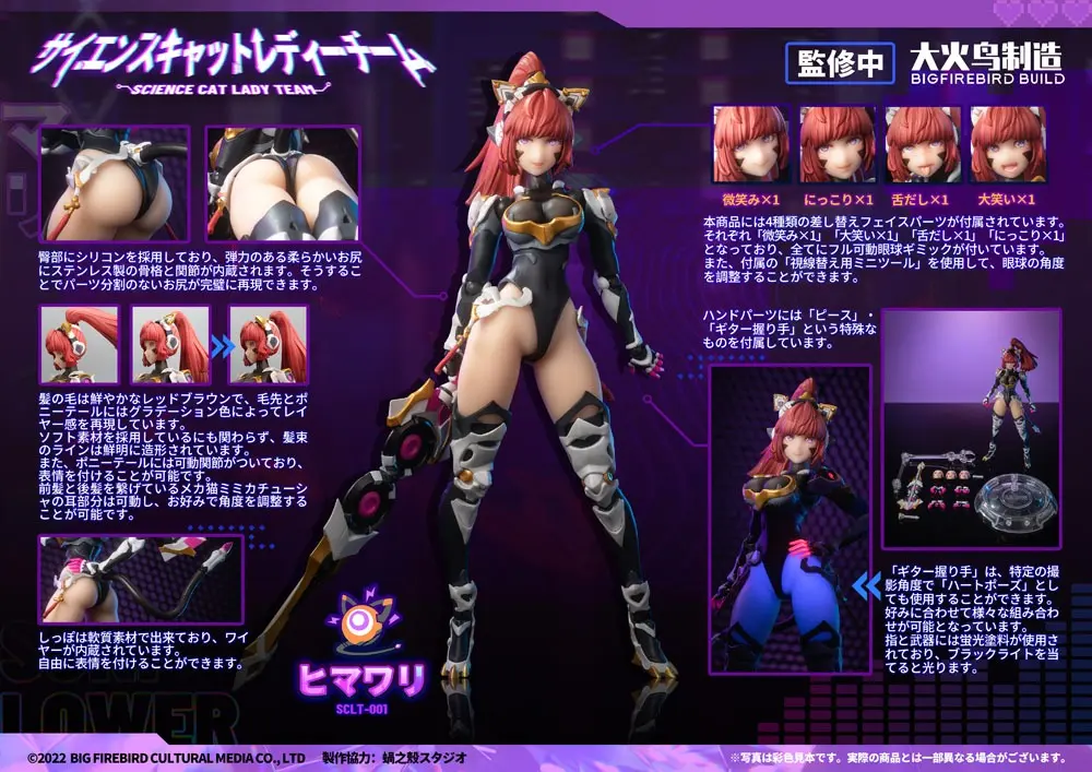 Bungaku Shoujo PVC Kip 1/6 Science Cat Lady Team 001 33 cm fotografija izdelka