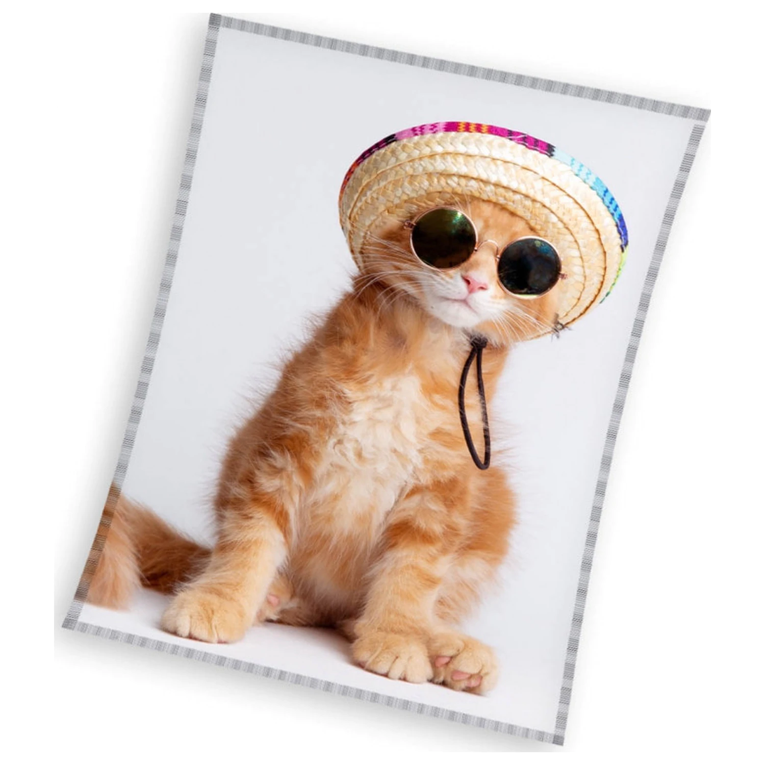 Cool Kitty mačja flis odeja fotografija izdelka