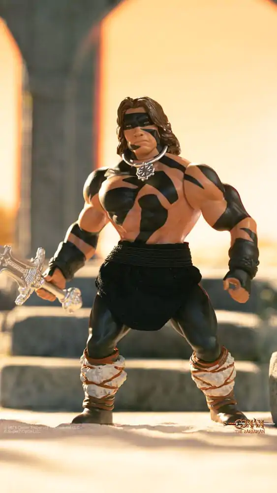 Conan the Barbarian 1982 Vintage Collection akcijska figura Wave 1 Conan Warpaint Ver. 14 cm fotografija izdelka