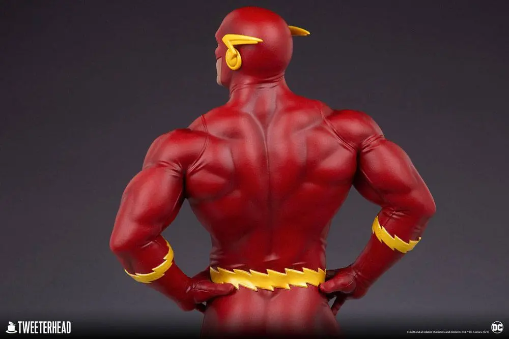 DC Comics Maketa 1/6 The Flash 46 cm fotografija izdelka