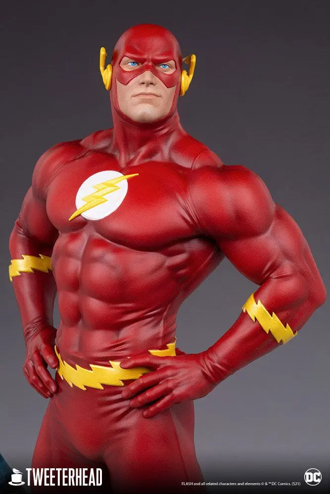 DC Comics Maketa 1/6 The Flash 46 cm fotografija izdelka