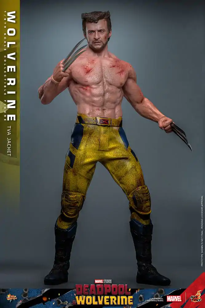 Deadpool & Wolverine Movie Masterpiece Akcijska figura 1/6 Wolverine (TVA Jacket Version) 31 cm fotografija izdelka