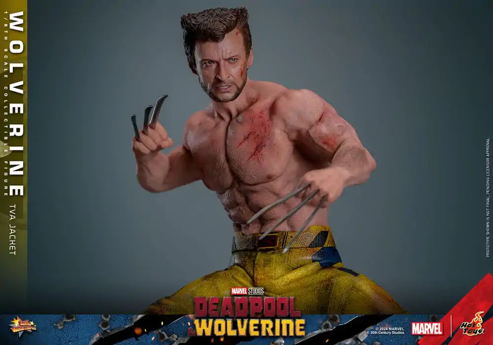 Deadpool & Wolverine Movie Masterpiece Akcijska figura 1/6 Wolverine (TVA Jacket Version) 31 cm fotografija izdelka