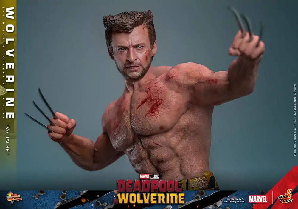 Deadpool & Wolverine Movie Masterpiece Akcijska figura 1/6 Wolverine (TVA Jacket Version) 31 cm fotografija izdelka