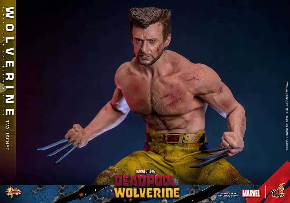 Deadpool & Wolverine Movie Masterpiece Akcijska figura 1/6 Wolverine (TVA Jacket Version) 31 cm fotografija izdelka