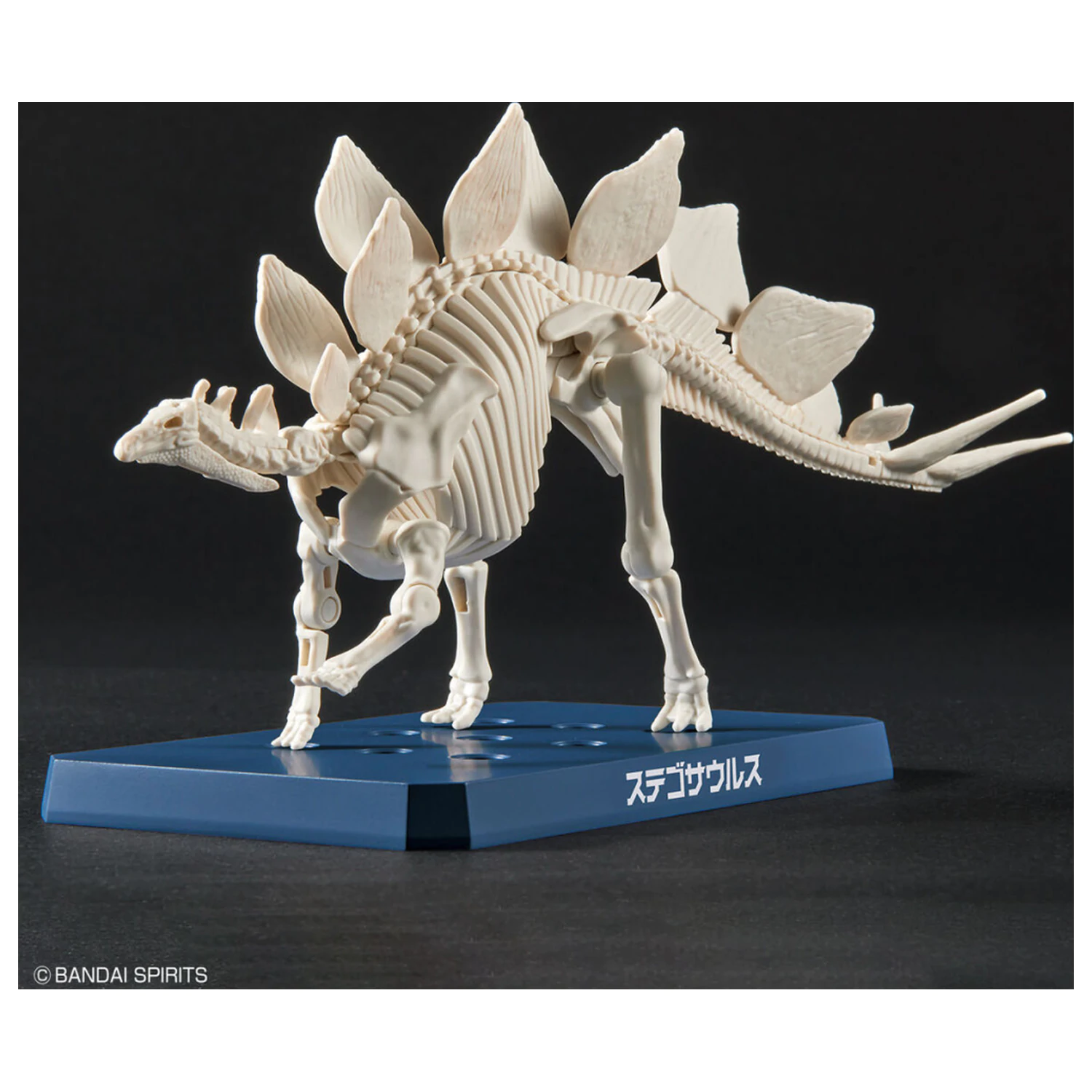 Dinosaur New Dinosaur Plastic Stegosaurus (Tentative) Komplet modela fotografija izdelka
