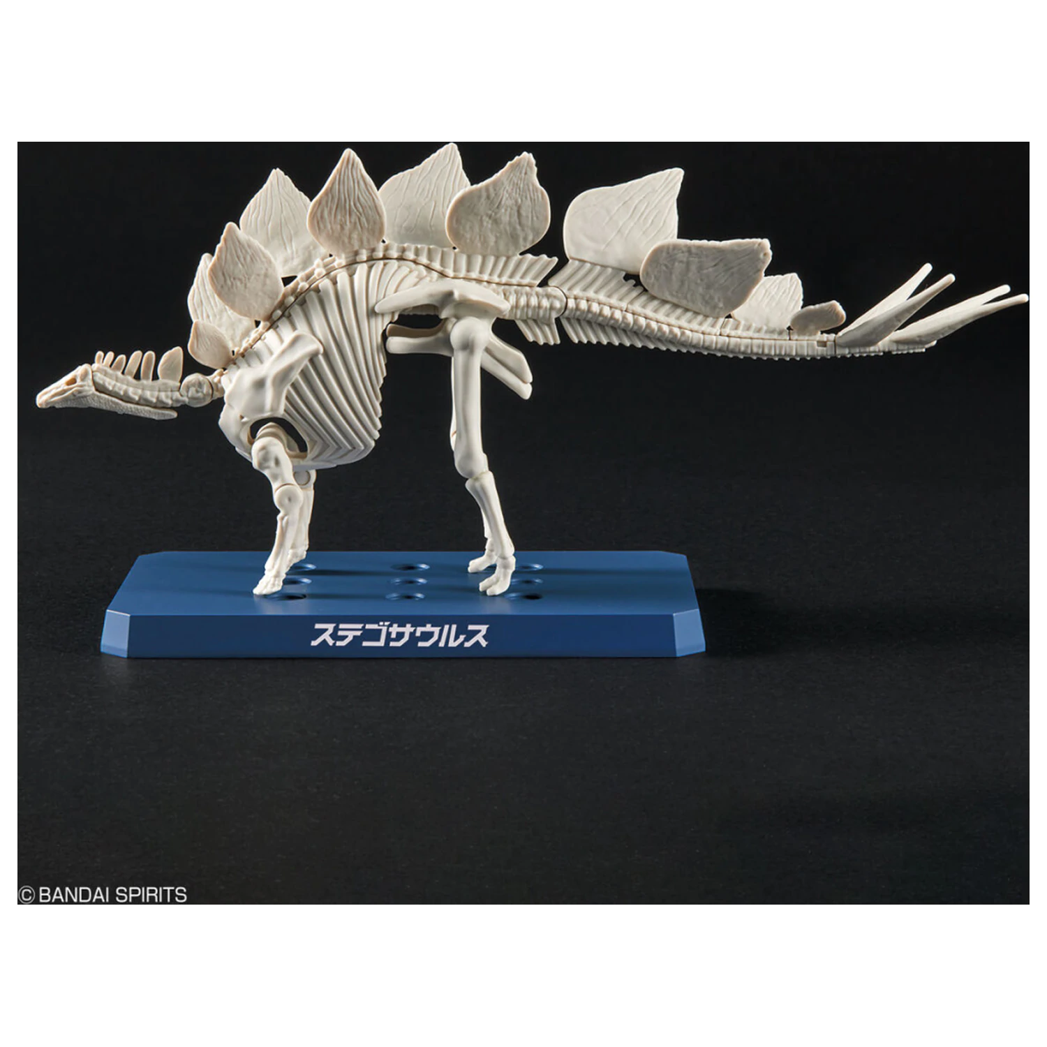Dinosaur New Dinosaur Plastic Stegosaurus (Tentative) Komplet modela fotografija izdelka
