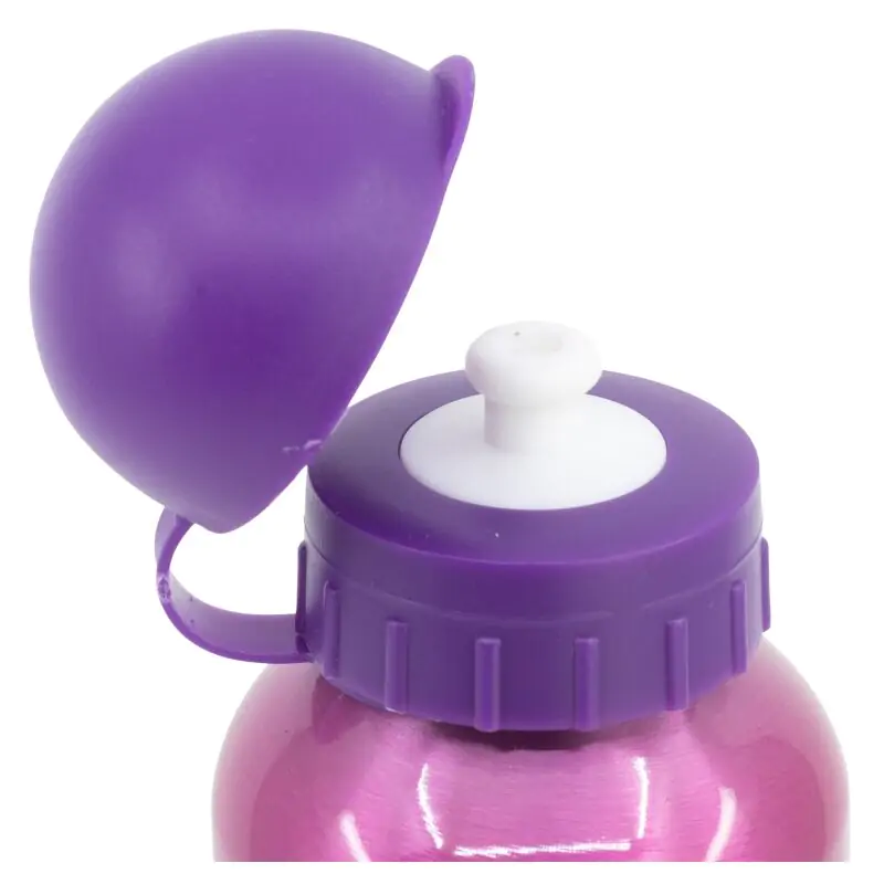 Disney Princess Bright & Bold aluminijasta steklenička 400ml fotografija izdelka