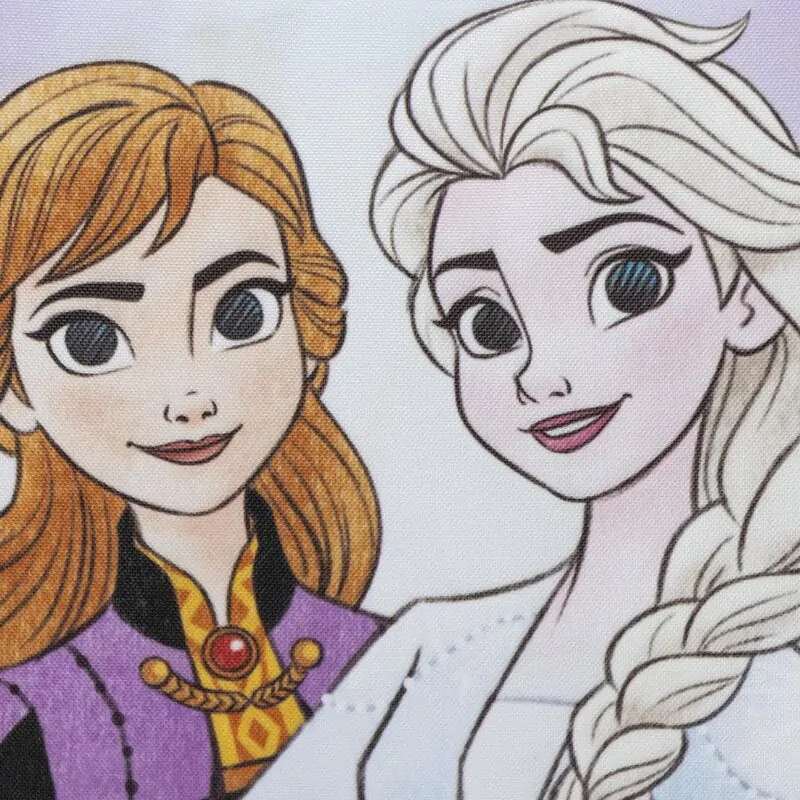 Disney Frozen torba za kosilo fotografija izdelka