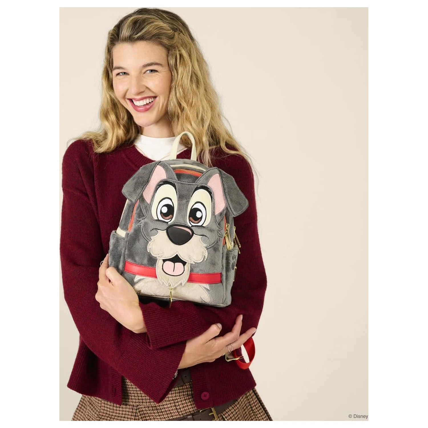 Disney mini nahrbtnik Lady and the Tramp Tramp fotografija izdelka