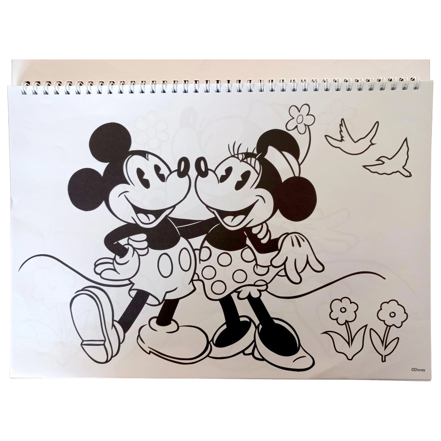 Disney Minnie Nomadic Spirit A/4 Spiralni skicirni blok s 40 nalepkami fotografija izdelka