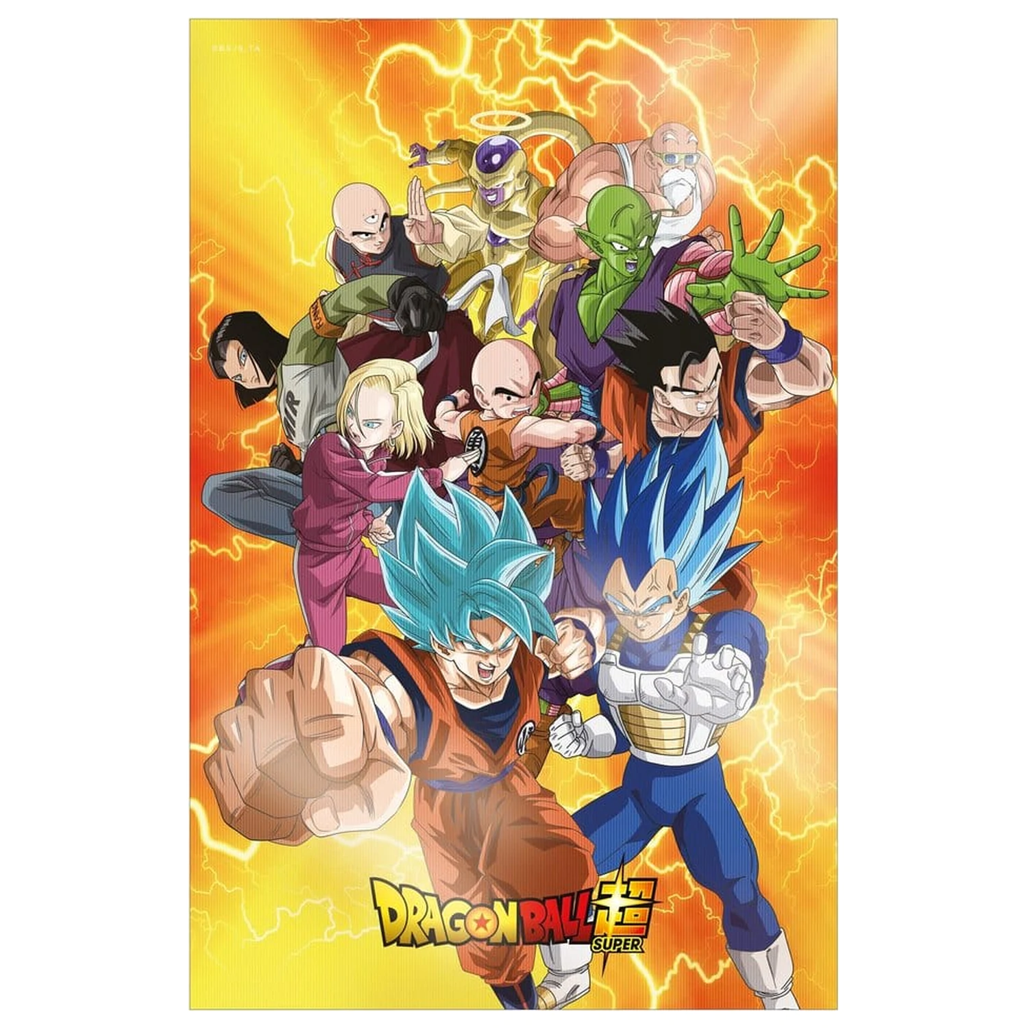 Dragon Ball Super 3D Plakat Survival Heroes 38 x 58 cm fotografija izdelka